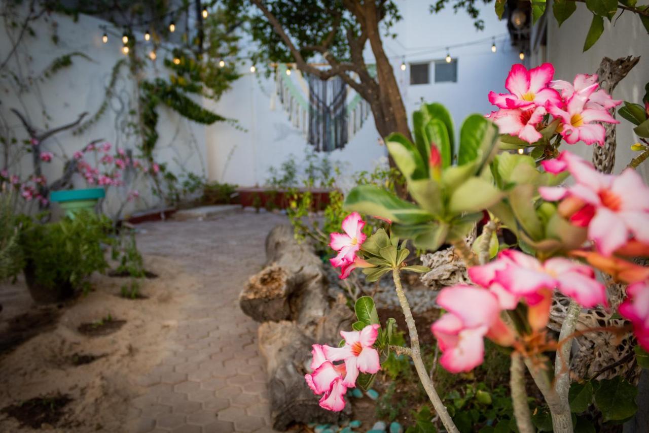 Adventure Inn לה פז מראה חיצוני תמונה